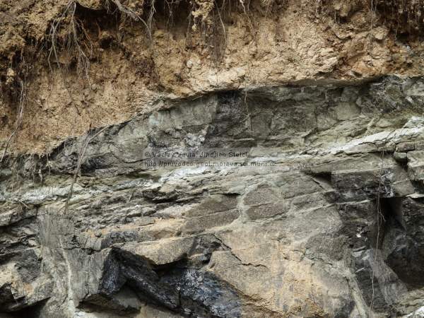 Biskoupky - sedimentrn pokryv
