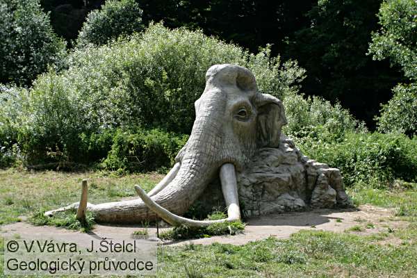 foto 17: mamut