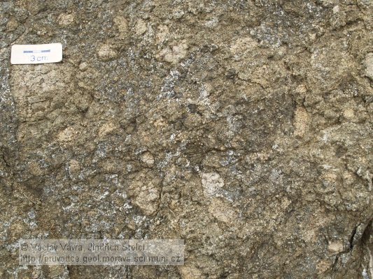 foto 5: mandlovcovitá textura pikritů