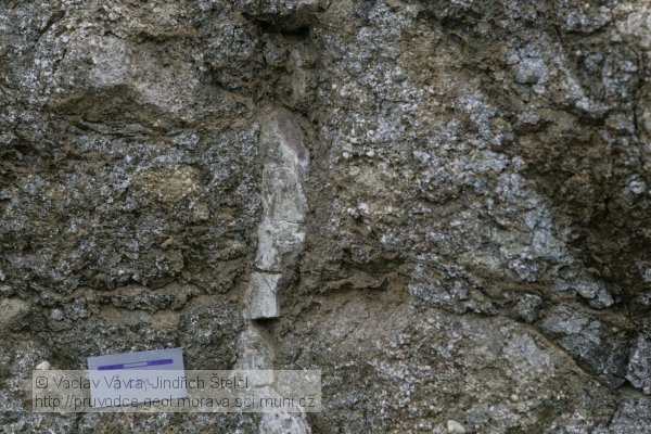 foto 7: kalcitové žilky v pikritu