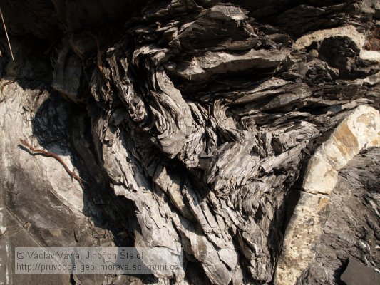 Ostravice: vrásové struktury v pelitických i vápnitých sedimentech