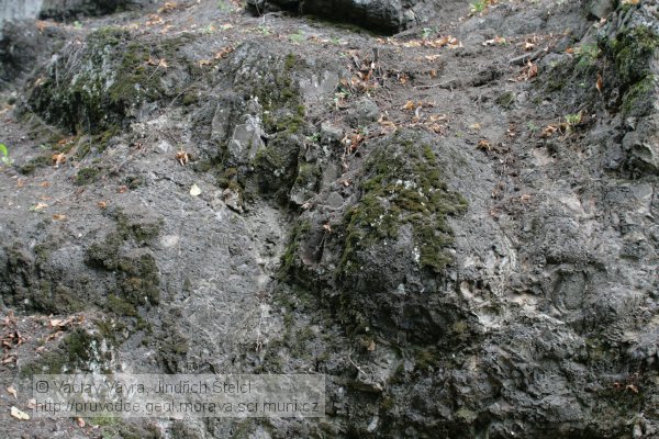 foto 4: kuličkovitý rozpad hornin
